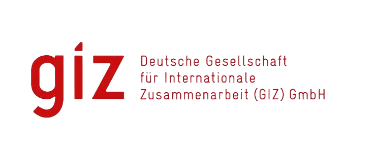 GIZ development partner in employment policy and institutional reform programmes