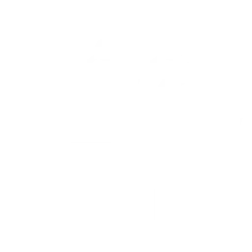 Employment policy advisory and labour market systems development work in South Africa within a United Nations and multilateral context