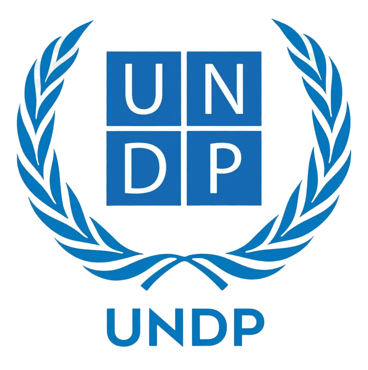 United Nations Development Programme partner in livelihoods, employment, and economic resilience policy