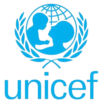 UNICEF partner in youth employment, livelihoods development, and social policy frameworks